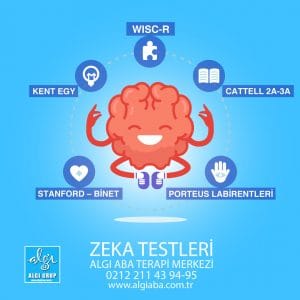 Zeka Testi